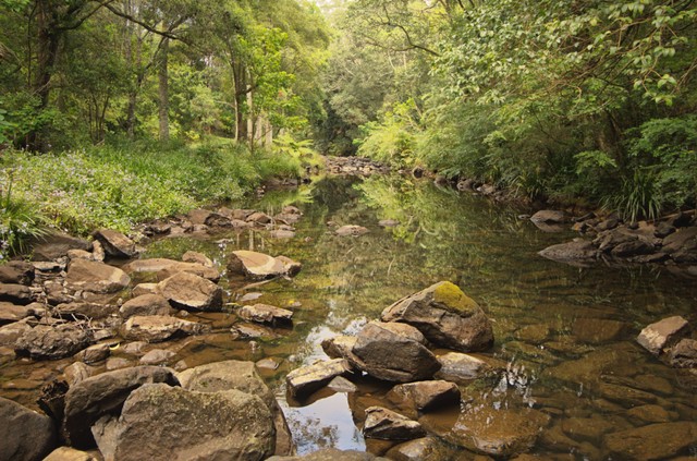 wisata sungai di jogja. sumber foto : unsplash/michael.