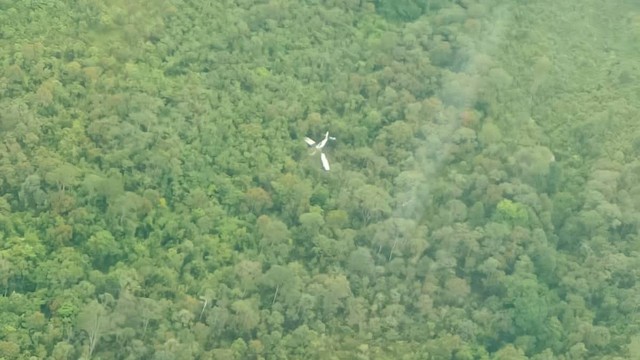 Pesawat Jatuh di Timika, Susi Air Minta Maaf dan Fasilitasi Perawatan Korban (9940)