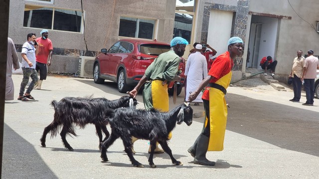 Mengunjungi Pasar Kambing Anam di Makkah yang Biasa Dikunjungi Jemaah Haji RI (74690)