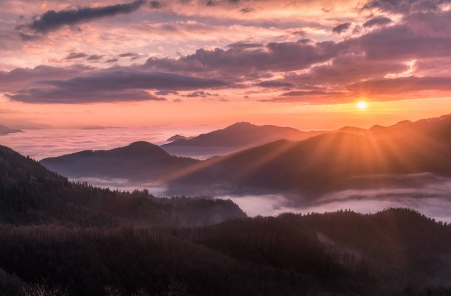Harga Tiket Masuk Gunung Kendil, Foto: unsplash/Tadej Skofic