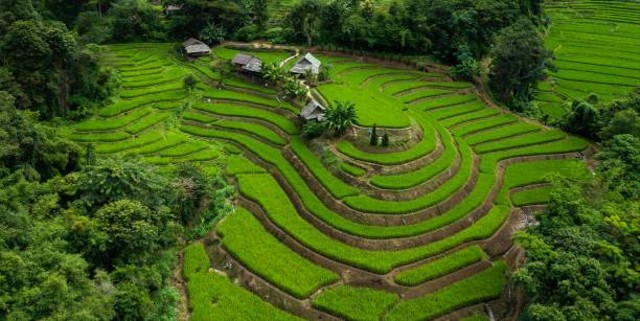 Jam Buka Puncak Pass dan Daya Tariknya, Foto: Unsplash.