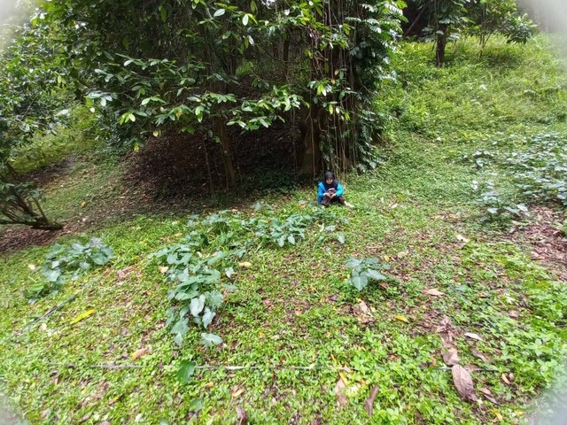 Gambar 4. Menganalisis ekosistem di kebun raya Bogor. @Dokumen Pribadi