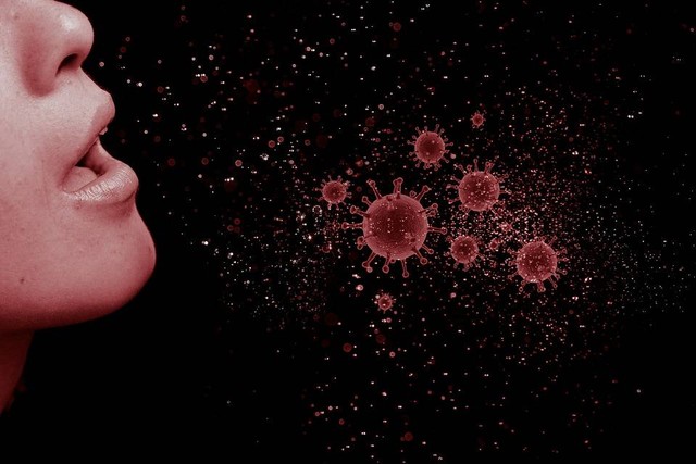 Ilustrasi penyakit influenza yang dapat menular melalui berbagai cara. Foto: Pixabay