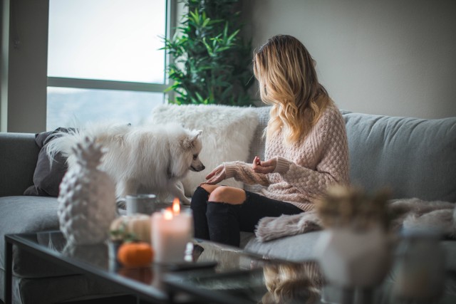Jam buka rumah guguk, Foto oleh Roberto Nickson di Unsplash