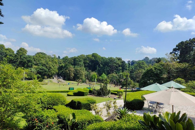Suasana Kebun Raya Bogor. Foto: Kebun Raya Bogor