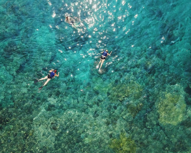 3 Tempat Snorkeling di Bali Paling Indah dan Strategis, Foto: Unsplash/Taylor Simpson
