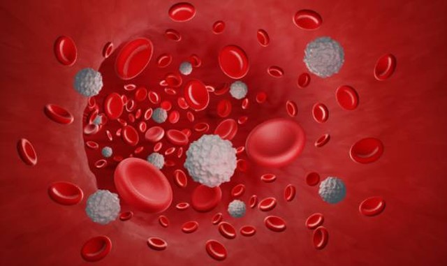Ilustrasi sel darah putih dan sel darah merah. Foto: Pixabay