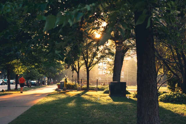 Lokasi dan Jam Buka Taman Menteng, Foto: Unsplash/Eliyah Reygaerts