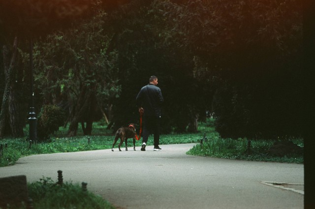 Taman Anjing di Jakarta yang Pet Friendly, Foto ini hanya ilustrasi dan bukan tempat aslinya, https://unsplash.com/@justkato