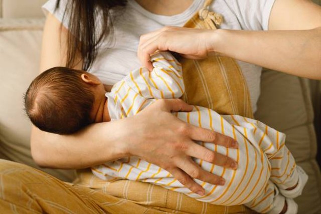 Ilustrasi manfaat daun katuk untuk ibu menyusui (Sumber: iStock)