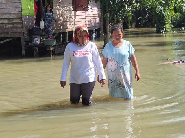 Anggota DPRD Kotawaringin Barat Sri Lestari saat meninjau banjir di Desa Sungai Hijau. Foto: IST
