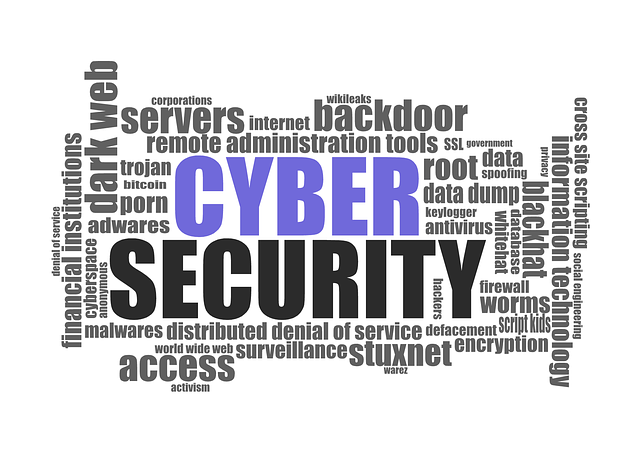 Cyber Security (Sumber : Pixabay.com)