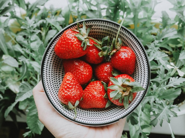 Wisata Kebun Strawberry di Bandung, Foto: Unsplash/Anastasia Zhenina
