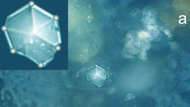 Kristal aneh yang belum terlihat sebelumnya ditemukan dalam debu meteorit yang jatuh di Rusia.   Foto: The European Physical Journal Plus/Taskaev