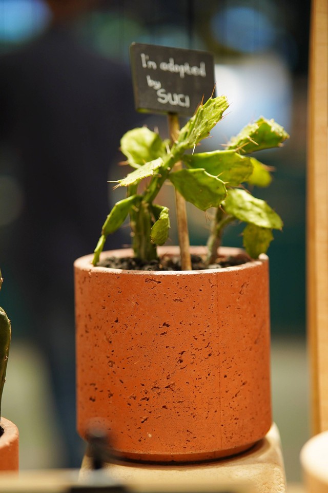 Konsep Baru Gerai The Body Shop di Mal Kota Kasablanka yang Manfaatkan Sampah