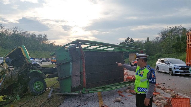 Bus Primajasa dan truk ayam kecelakaan di Tol Cipali KM 93. Foto: Dok. Istimewa