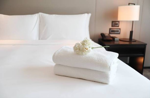 Rekomendasi Hotel Dekat Taman Safari Bogor, Foto: Unsplash.