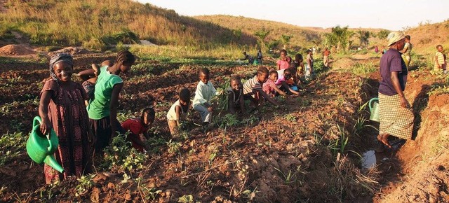 ©FAO/Frank Ribas dalam United Nations News https://news.un.org/en/