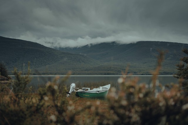 Ilustrasi Danau. Sumber: Pexels.com/Gaspar Zaldo