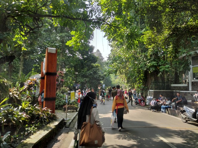 Suasana alam yang asri menjadikan Kebun Raya Bogor sebagai pilihan destinasi wisata. (Dokumen pribadi)