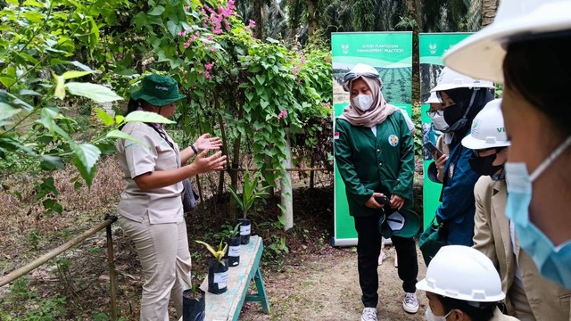 Kunjungan Industri Tanoto Scholars Gathering 2022 di RGE Group, Pangkalan Kerinci, Riau, Selasa (5/7/2022). Foto: Annisa Thahira Madina/kumparan