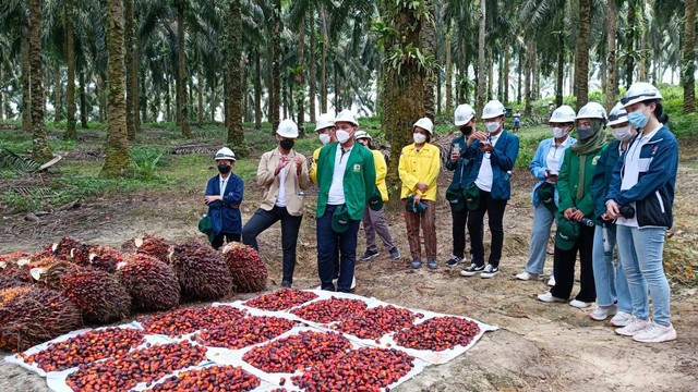 Kunjungan Industri Tanoto Scholars Gathering 2022 di RGE Group, Pangkalan Kerinci, Riau, Selasa (5/7/2022). Foto: Annisa Thahira Madina/kumparan