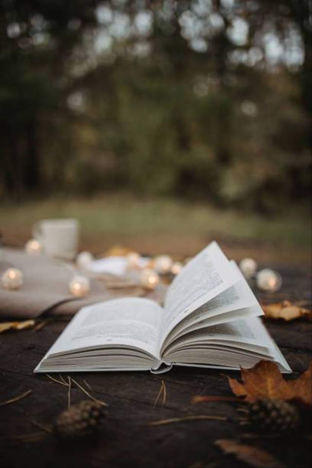www.istockphoto.com