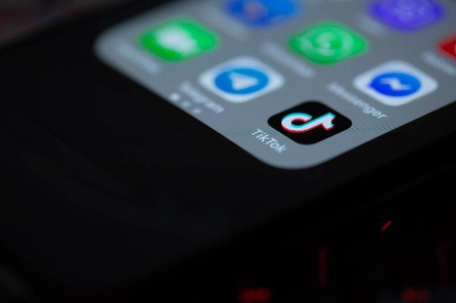 Ilustrasi media sosial TikTok. Foto: Pixabay