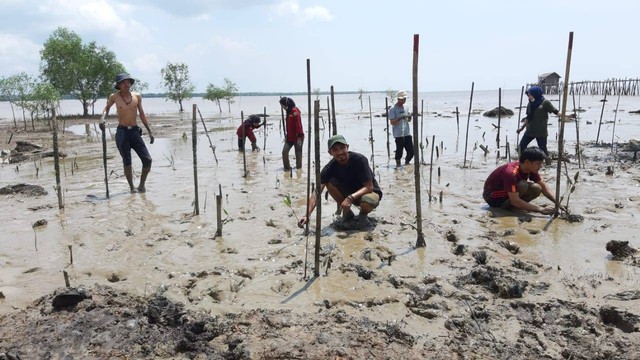 Muhammad Windi (berada di tengah, memakai topi) sedang menanam tumbuhan mangrove. (Foto: Istimewa)