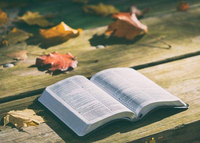 Ilustrasi Alkitab. Foto: pixabay