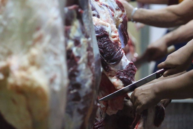 Ilustrasi proses pemotongan daging hewan kurban di Masjid Raya Bandung Provinsi Jawa Barat. Foto: Humas Pemkot Bandung