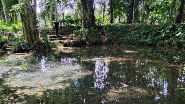 Waetuo, sumber mata air di Desa Tolangi, Kecamatan Sukamaju, Kabupaten Luwu Utara, Sulawesi Selatan (Sulsel), diyakini warga setempat sudah ada sejak ratusan tahun silam. Foto: Awal Dion