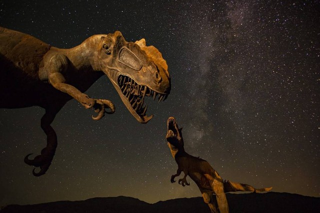 8 Penemuan Dinosaurus Terbesar di Dunia Foto:Unsplash
