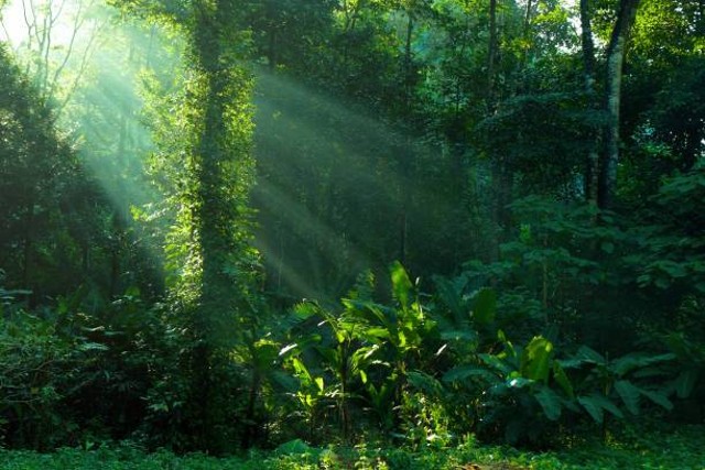 Ilustrasi Harga Tiket Masuk Bukit Awan Sikapuk dan Lokasinya, Foto: Unsplash.