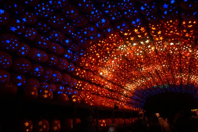 harga tiket masuk festival of light surabaya/ gambar hanya ilustrasi bukan tempat sebenarnya. sumber foto : unsplash/sudan ouyang.