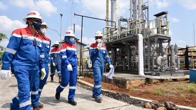 Direktur Keuangan PT Pertamina (Persero) Emma Sri Martini saat kunjungan ke lapangan.
Foto: Pertamina