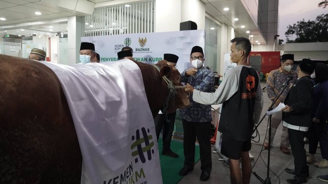 Kementerian Koperasi dan UKM serahkan hewan kurban melalui Badan Amil Zakat Nasional (Baznas) di Kantor Baznas, Jakarta, Jumat (8/7/2022). Foto: Kementerian Koperasi dan UKM