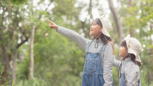 Ilustrasi anak berwisata. Foto: FAMILY STOCK/Shutterstock