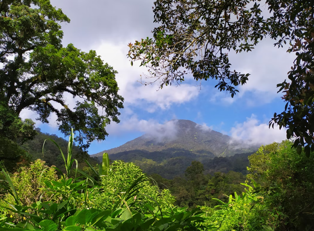 Ilustrasi taman nasional terbesar di Asia Tenggara. Foto: unsplash.com/johanessuryanata