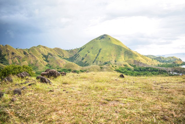 Foto : Pexels/Sony Feo ; Waktu Terbaik ke Sumba