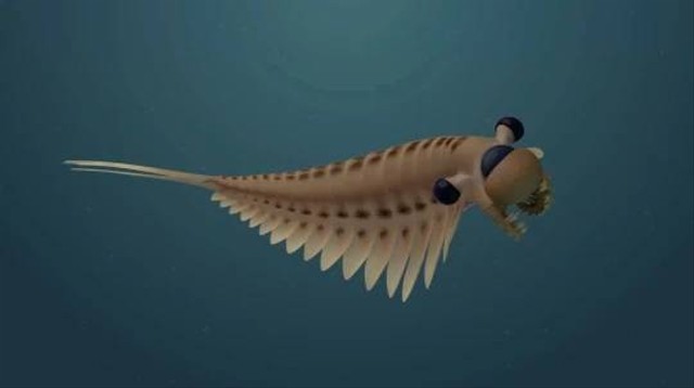 Rekonstruksi hewan predator laut Stanleycaris hirpex yang memiliki tiga mata. Foto: Sabrina Cappelli/Royal Ontario Museum