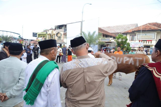 Bupati Kuningan, H Acep Purnama SH MH saat menyerahkan hewan kurban kepada DKM Masjid Syiarul Islam Kabupaten Kuningan. (Andri)