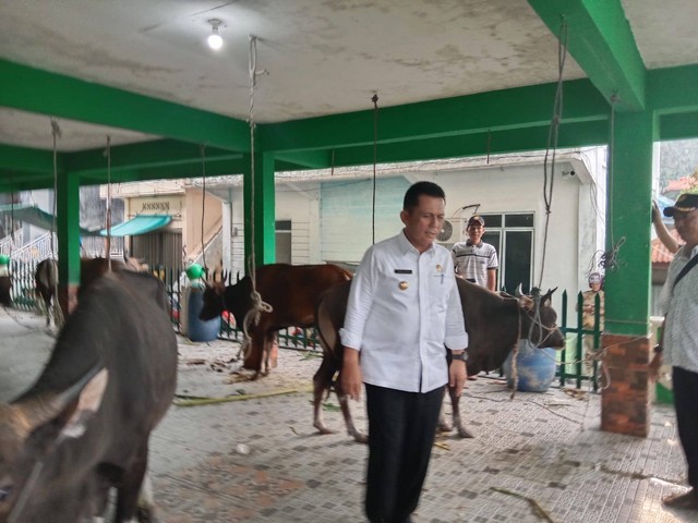 Gubernur Kepulauan Riau, Ansar Ahmad, menyerahkan sapi kurban dari Presiden RI Joko Widodo ke Bupati Kabupaten Kepulauan Anambas. Foto: Istimewa