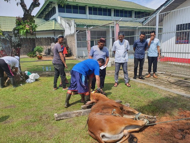 Perayaan Idul Adha Di Rutan Mempawah Kurban 1 Ekor Sapi Dan 2 Ekor