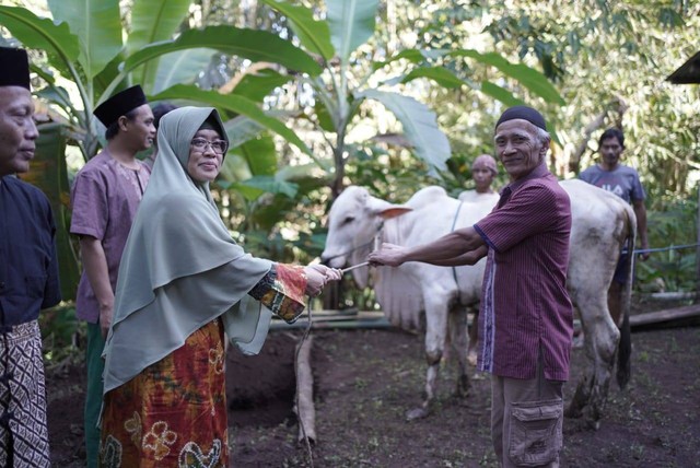 Rektor UNIMMA menyerahkan hewan kurban kepada Ketua Ranting Muhammadiyah Banjarharjo (Dok. Humas UNIMMA)