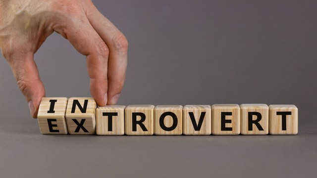 Ilustrasi ekstrovert an introvert. Foto: Dmitry Demidovich/Shutterstock