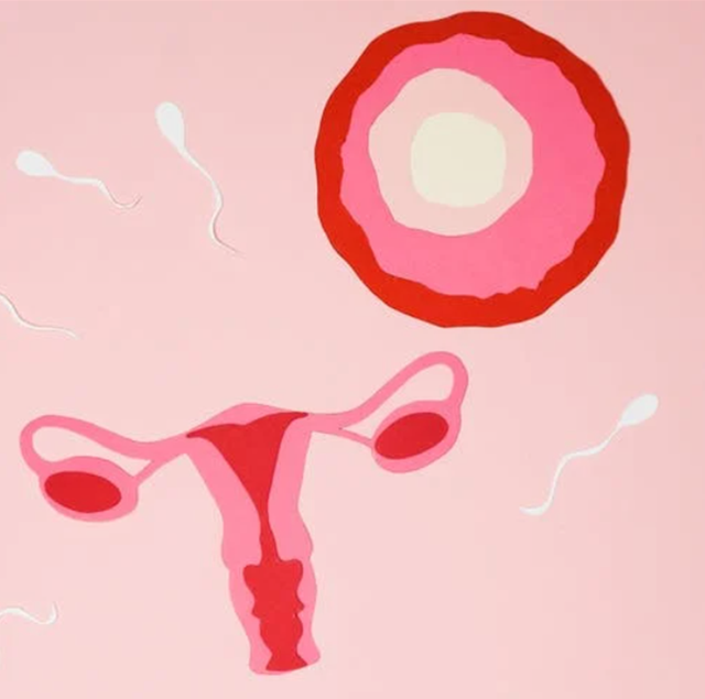 Ilustrasi proses pelepasan ovum dari ovarium yang menjadi masa subur kehamilan. Foto: pexels.com/nadezhda-moryak/