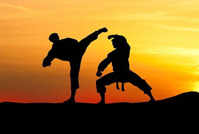 Ilustrasi pencak silat. Foto: Pixabay