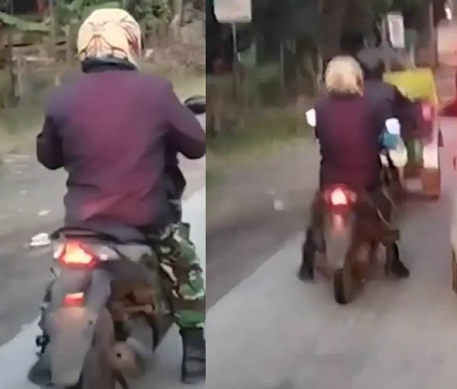 Pria menggunakan celana tentara ini disebut memalak sopir truk, videonya viral di media sosial. 