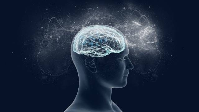 Ilustrasi otak manusia. Foto: Shutterstock
